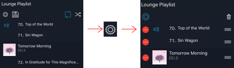 IPad-Playlist-track-delete.png