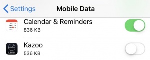 IPhone-Mobile data.jpg