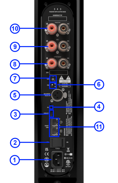 File:343 pwab backpanel.png