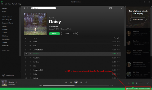 Spotify desktop app showing a DS selected.