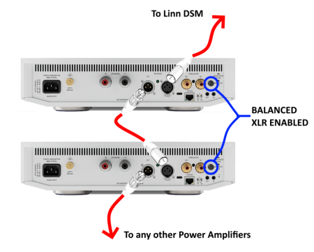 Klimax Solo 500 Daisy chain XLR.png